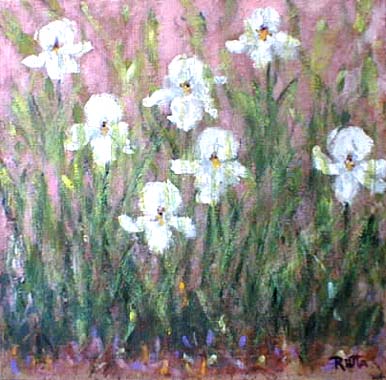 Titel: White iris on pink, Kunstenaar: Kauppinen, Riitta